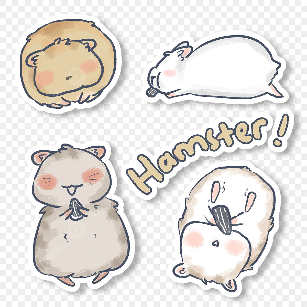 Xem hơn 100 ảnh về hình vẽ chuột hamster cute - NEC